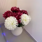 Cocon Diamant - Nuit Romantique - Jacuzzi Et Sauna - Hyper-centre شقة *