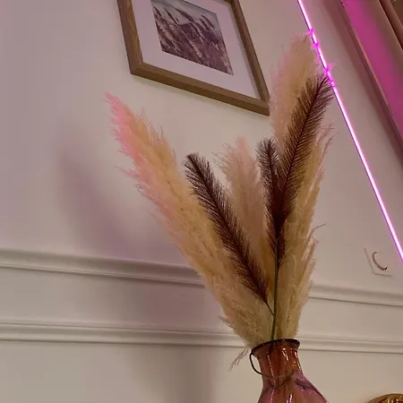 Cocon Diamant - Nuit Romantique - Jacuzzi Et Sauna - Hyper-centre