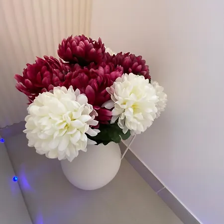 Cocon Diamant - Nuit Romantique - Jacuzzi Et Sauna Privatifs-hyper-centre Апартаменты *