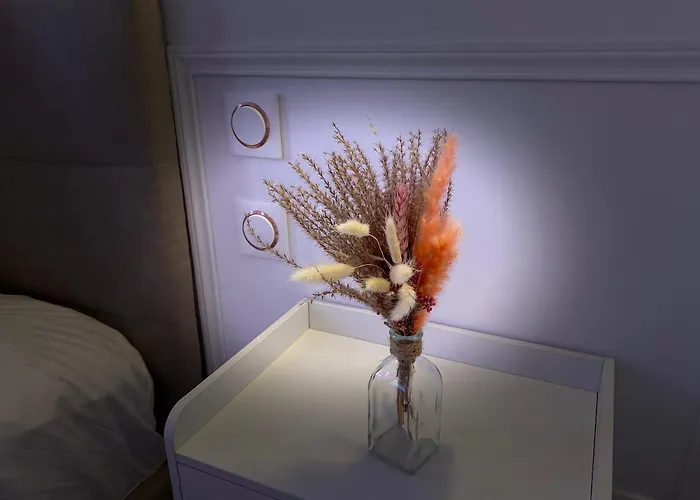 Appartement Cocon Diamant Nuit Romantique - Jacuzzi Privatifs-hyper-centre