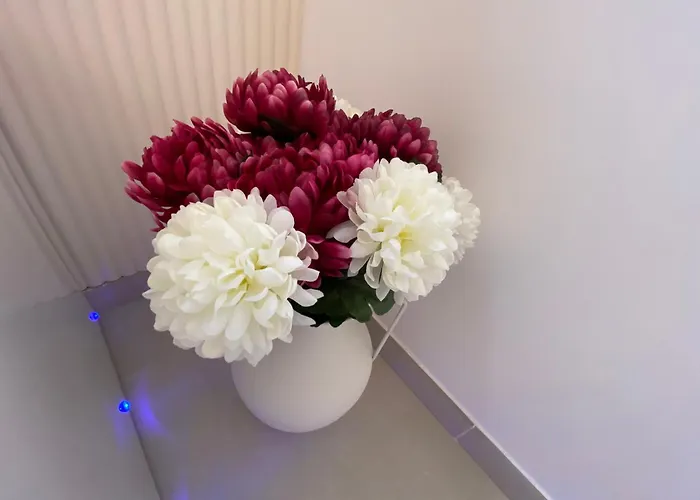 Cocon Diamant Nuit Romantique - Jacuzzi Privatifs-hyper-centre Appartement *